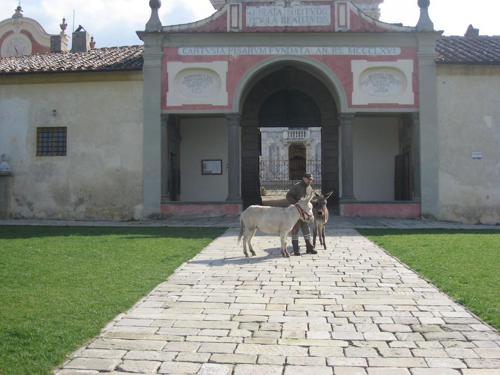 Al Palazzaccio Calci Exterior foto